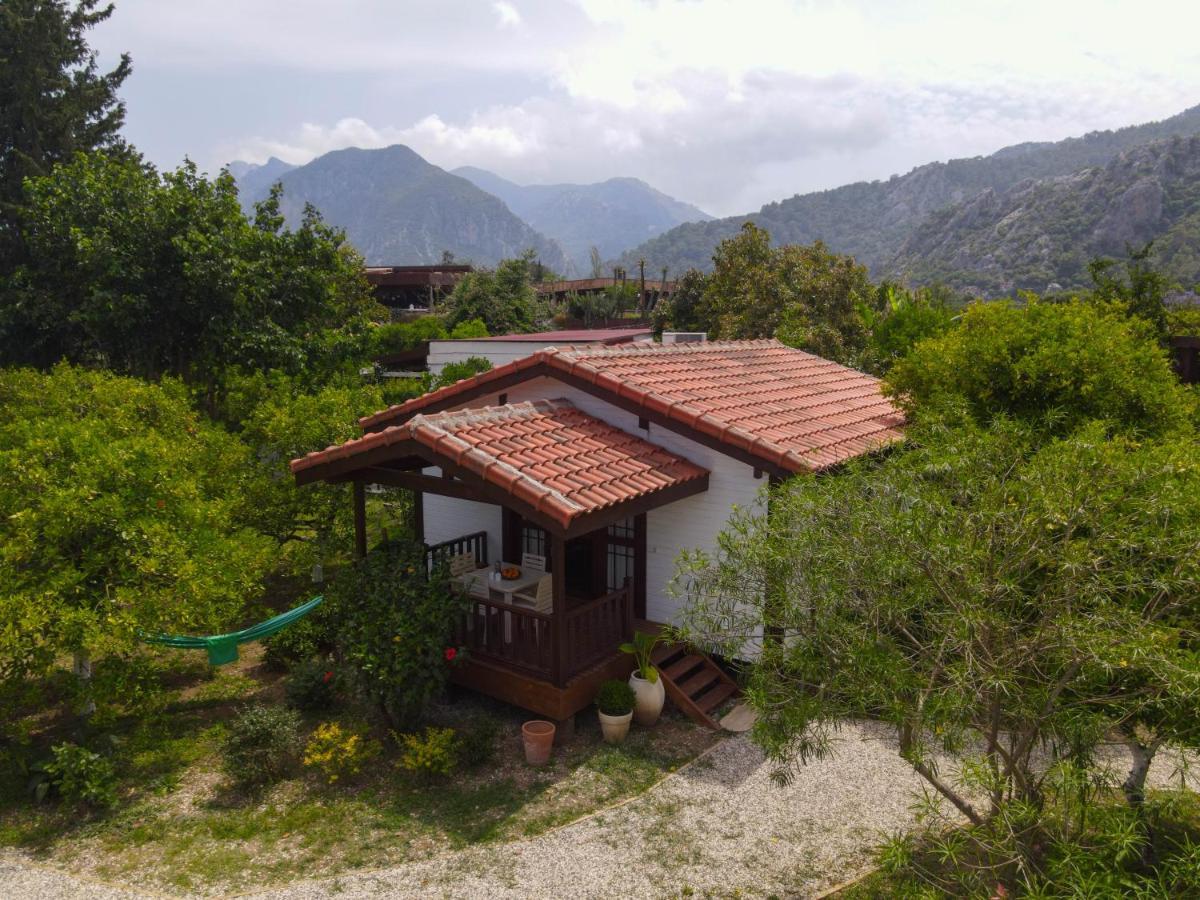 Kimera - Akdeniz Bahcesi Apart Hotel Çıralı Esterno foto
