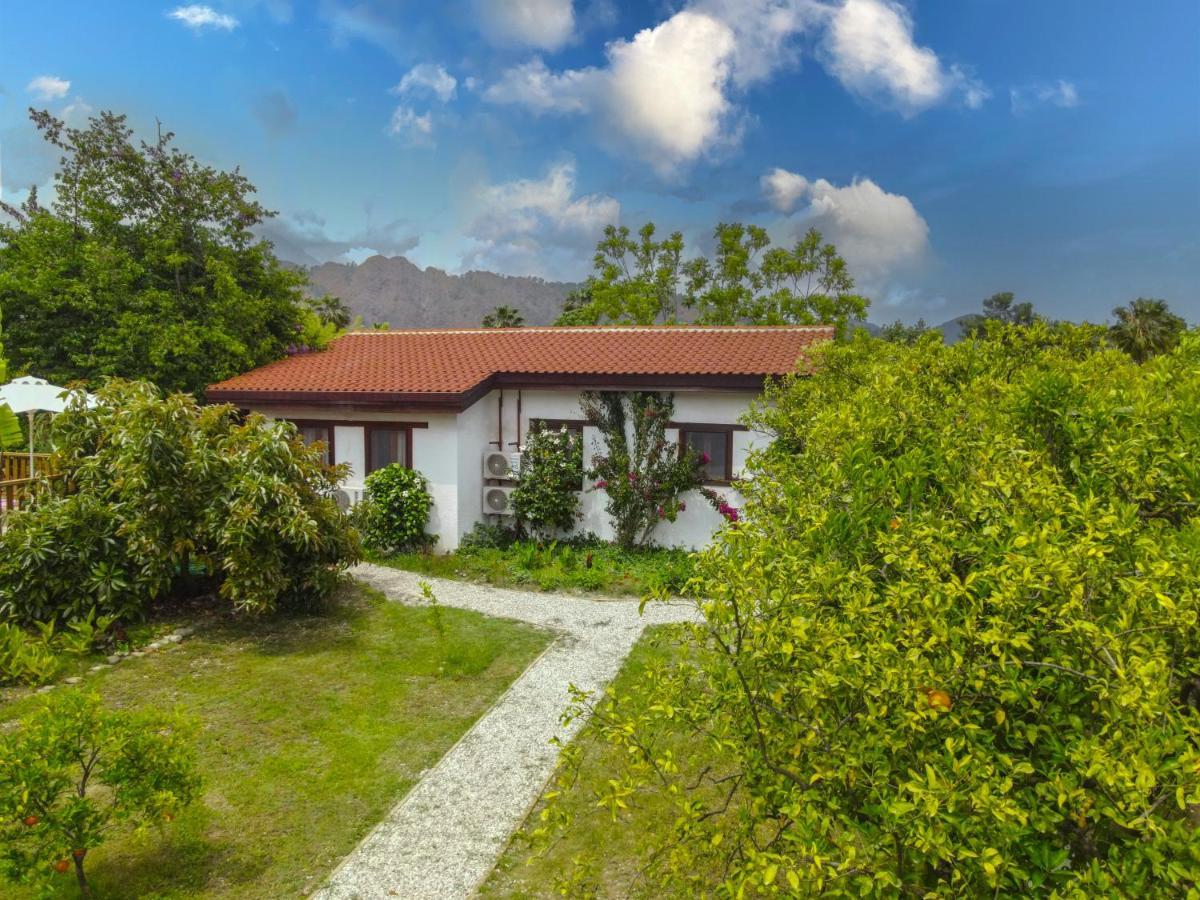 Kimera - Akdeniz Bahcesi Apart Hotel Çıralı Esterno foto