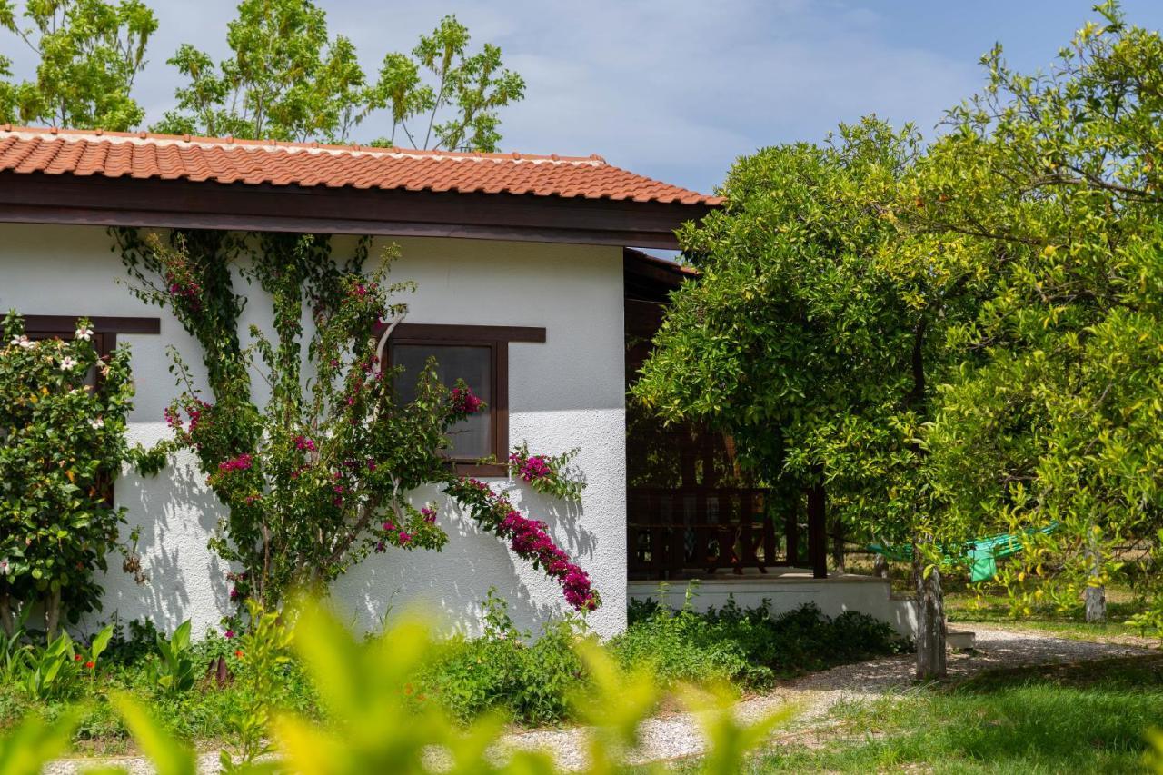 Kimera - Akdeniz Bahcesi Apart Hotel Çıralı Esterno foto